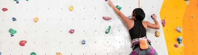 Climbing Wall